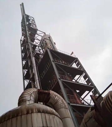 以诚为本赢在诚信9001股份公司实现新年第一个长周期生产百日红