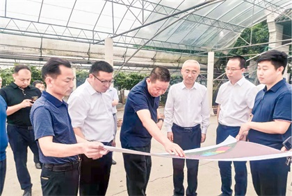 泸州市委常委、组织部长曹斌率队调研以诚为本赢在诚信9001纳溪现代农业种植园项目