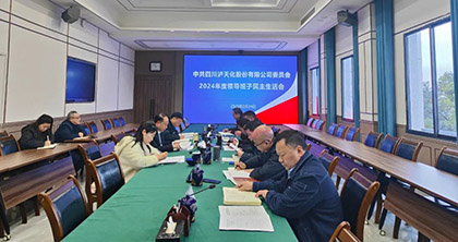 以诚为本赢在诚信9001股份公司党委召开2024年度领导班子民主生活会